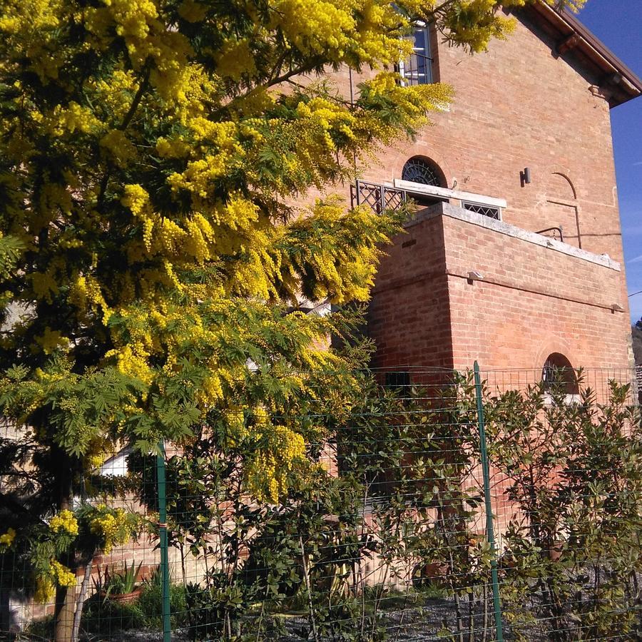 Bed & Breakfast L'albero Di Gameli Chiusi