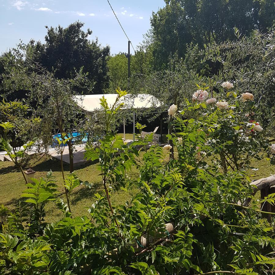 L'albero Di Gameli Bed & Breakfast Chiusi