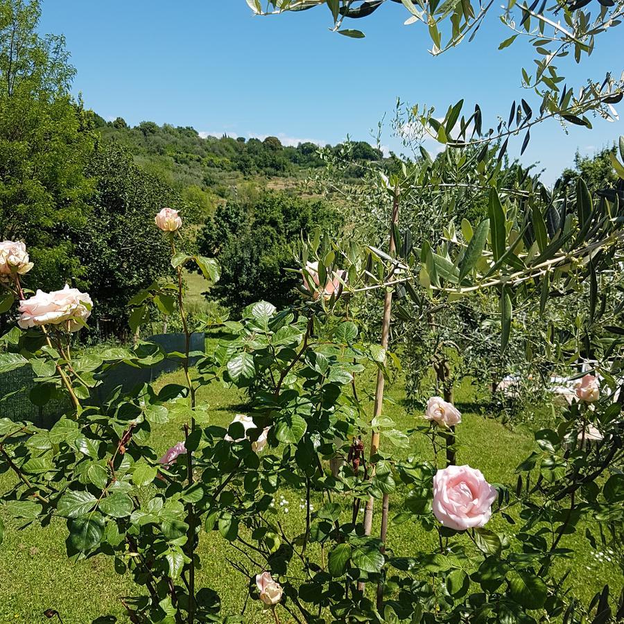 L'albero Di Gameli Bed and breakfast Chiusi